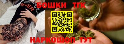 соль ск Камышлов