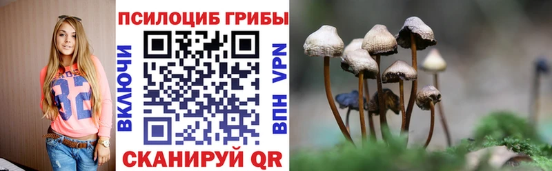 Галлюциногенные грибы Cubensis Краснокаменск