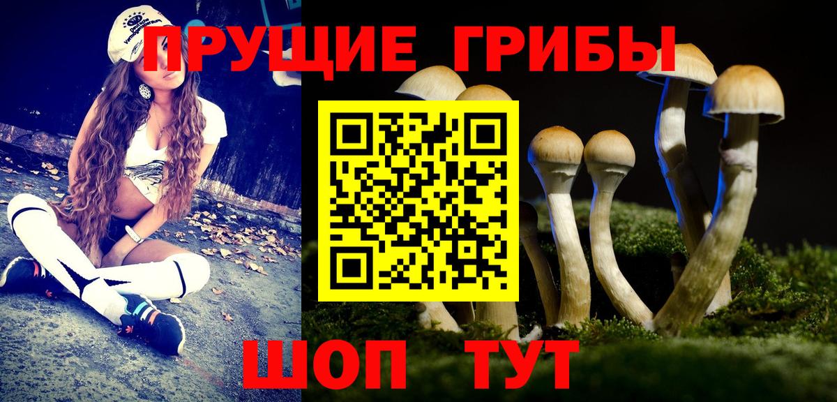 Псилоцибиновые грибы Psilocybe  купить наркотики цена  Краснокаменск  Вход с VPN 